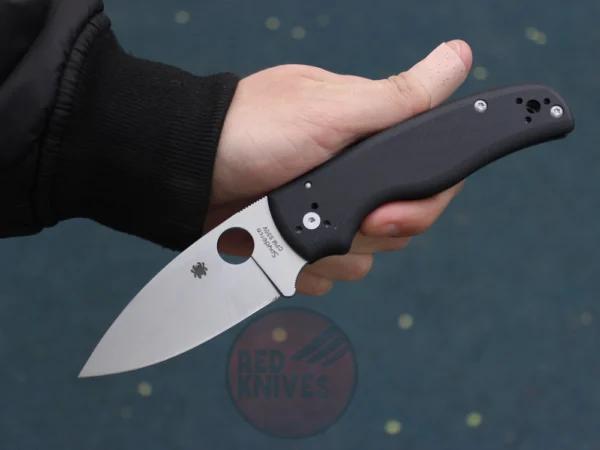 დანა Spyderko