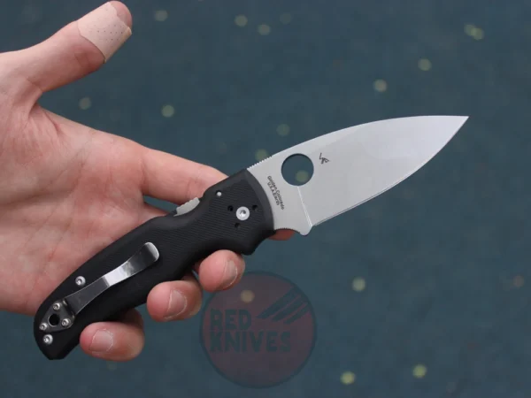 დანა Spyderko